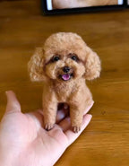 Custom Needle Felted Pet Replica - Full Body