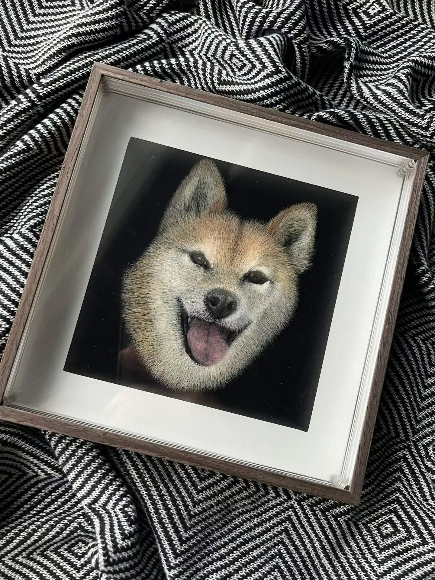 Custom Scratch-Style 3D Pet Portrait from Photo