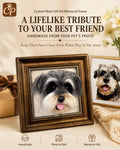 Custom Needle Felted Pet Replica - Framed Portrait