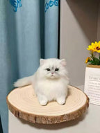 Custom Needle Felted Pet Replica - Full Body