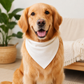 Custom Pet Bandana - Personalized Birthday Accessory