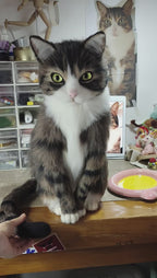 Custom Needle Felted Pet Replica - Full Body