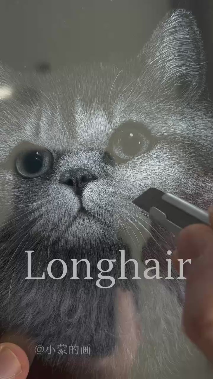 Custom Scratch-Style 3D Pet Portrait from Photo