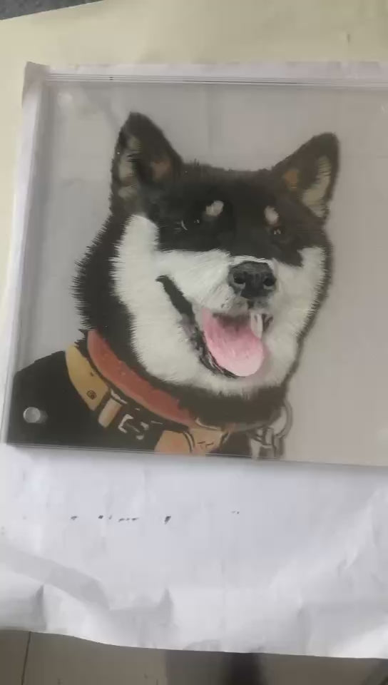 Custom 3D Acrylic Pet Portrait Plaque